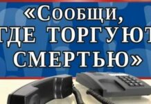 В Тбилисском районе проходит акция «Сообщи, где торгуют смертью»