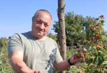 От линии фронта – к рядам малины