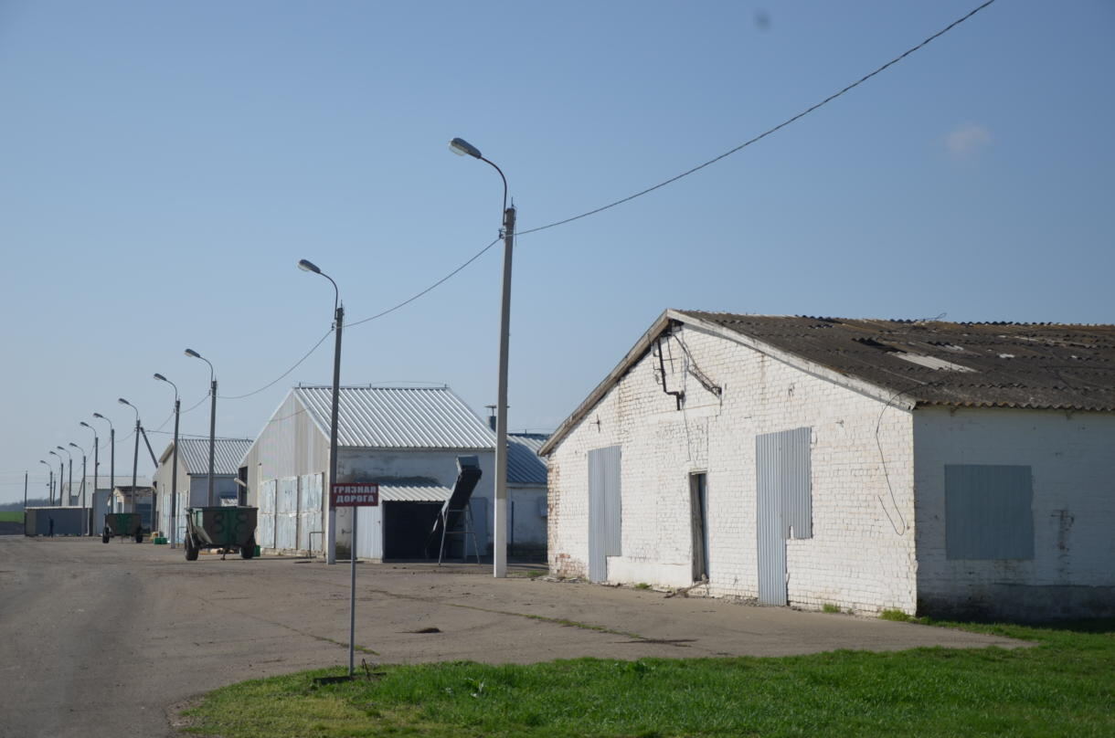 Территория птичник Ловлинка (2)