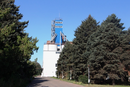 сахарный